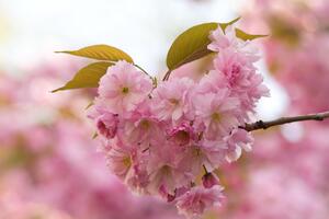 IMG_8340__ IMG_8340__