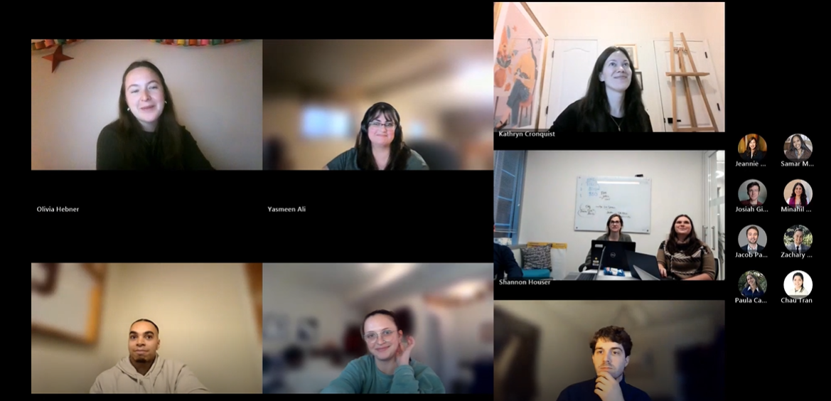 Summit analysts participating in data visualization community of practice